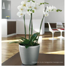 (BC-F1039) Diseño de moda de plástico auto-riego Flower Pot